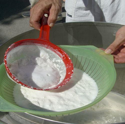 ricotta chevre